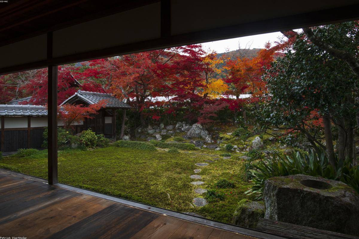 A First-Timer’s Guide to Kyoto