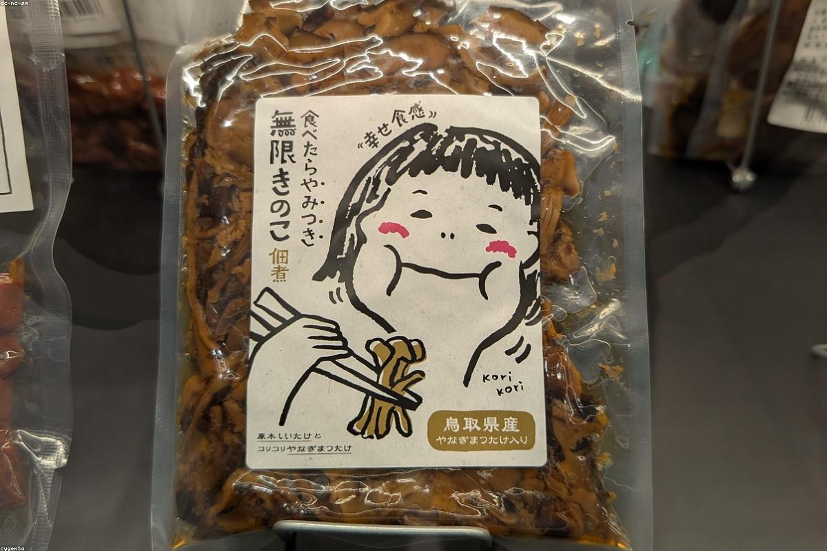 初めての京都旅行ガイド