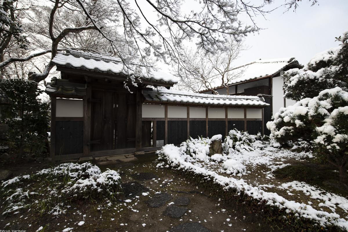 Tea Ceremony and Kimono Experience